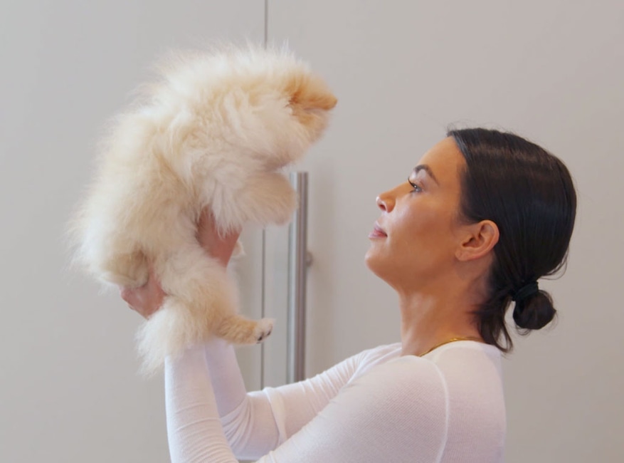 Kim Kardashian, Kardashians